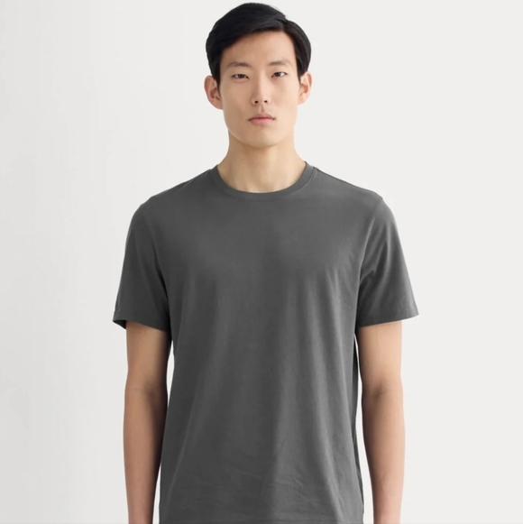 Everlane Short Sleeve Tees — Charcoal & Beige - Picture 3 of 4
